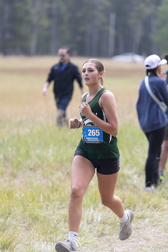 %_tempFileName1M6A8583%