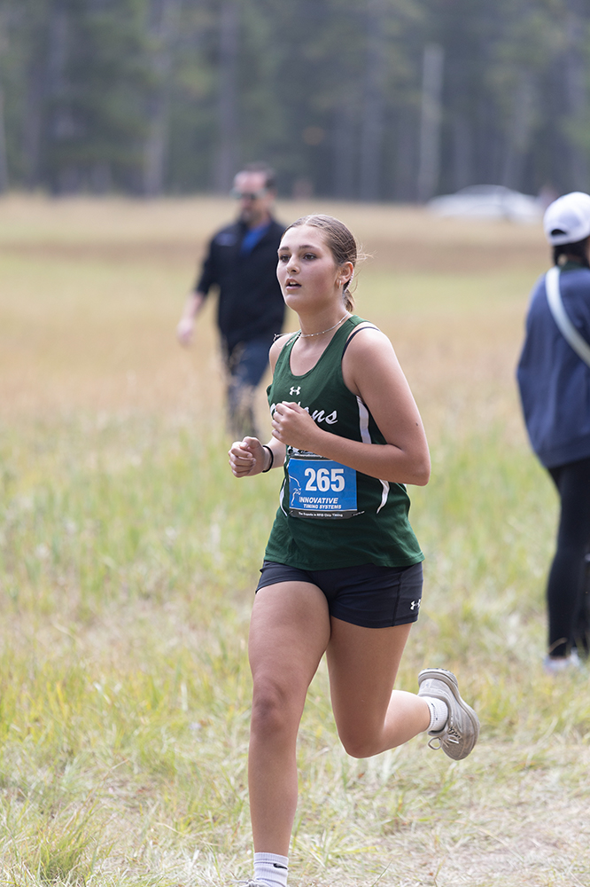 %_tempFileName1M6A8584%