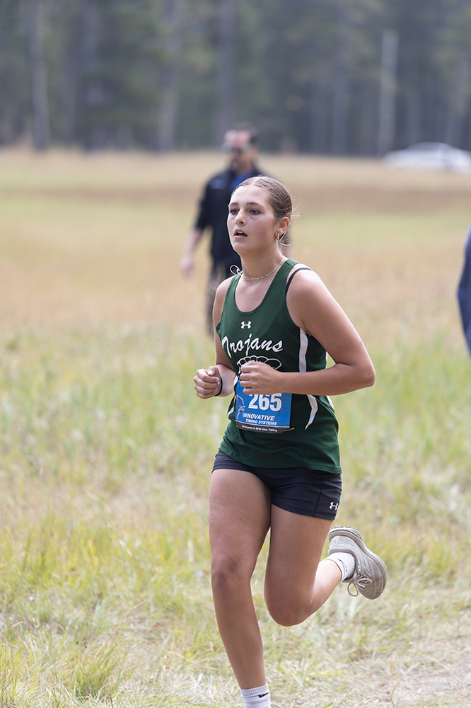 %_tempFileName1M6A8585%