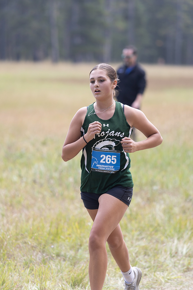 %_tempFileName1M6A8588%