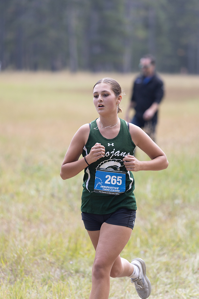 %_tempFileName1M6A8589%