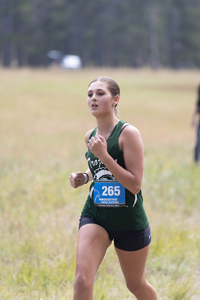 %_tempFileName1M6A8593%