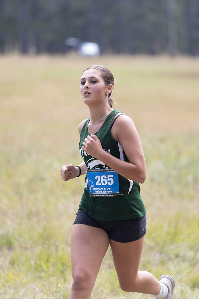 %_tempFileName1M6A8594%