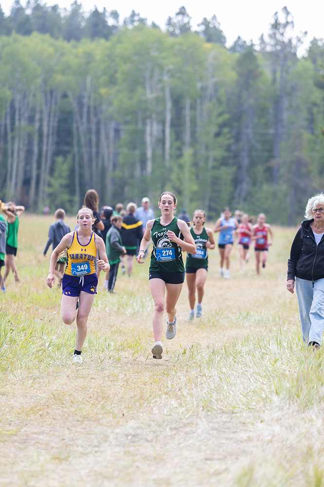 %_tempFileName1M6A8600%