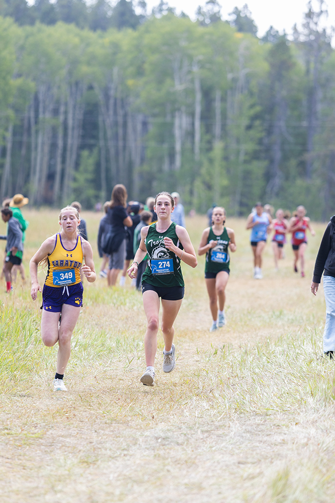 %_tempFileName1M6A8608%