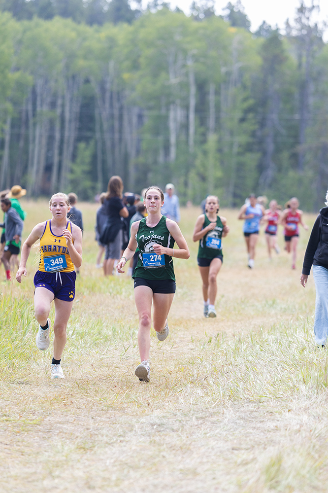 %_tempFileName1M6A8609%