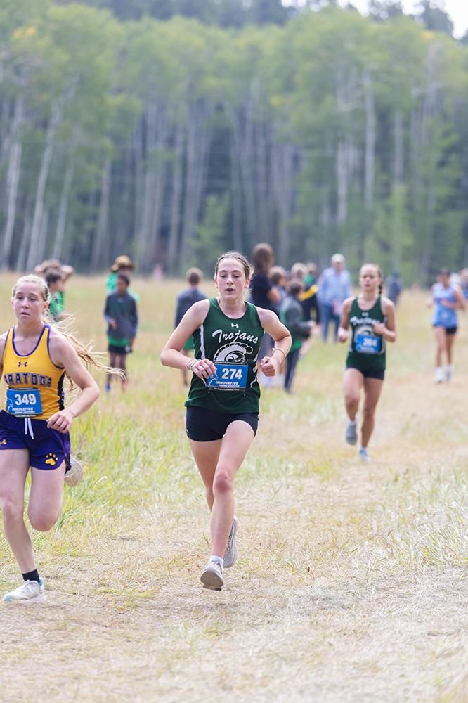 %_tempFileName1M6A8611%