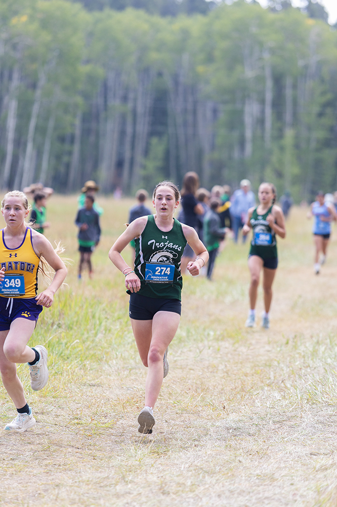 %_tempFileName1M6A8612%