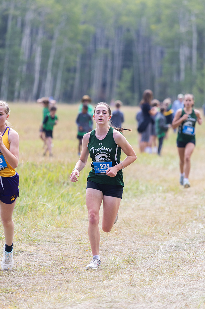 %_tempFileName1M6A8618%