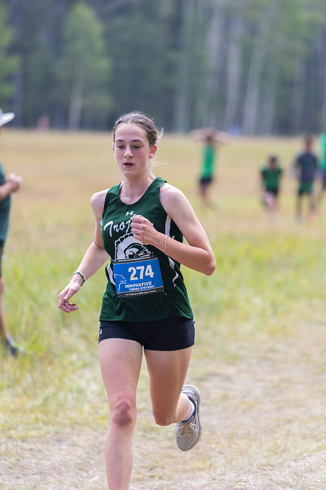 %_tempFileName1M6A8631%