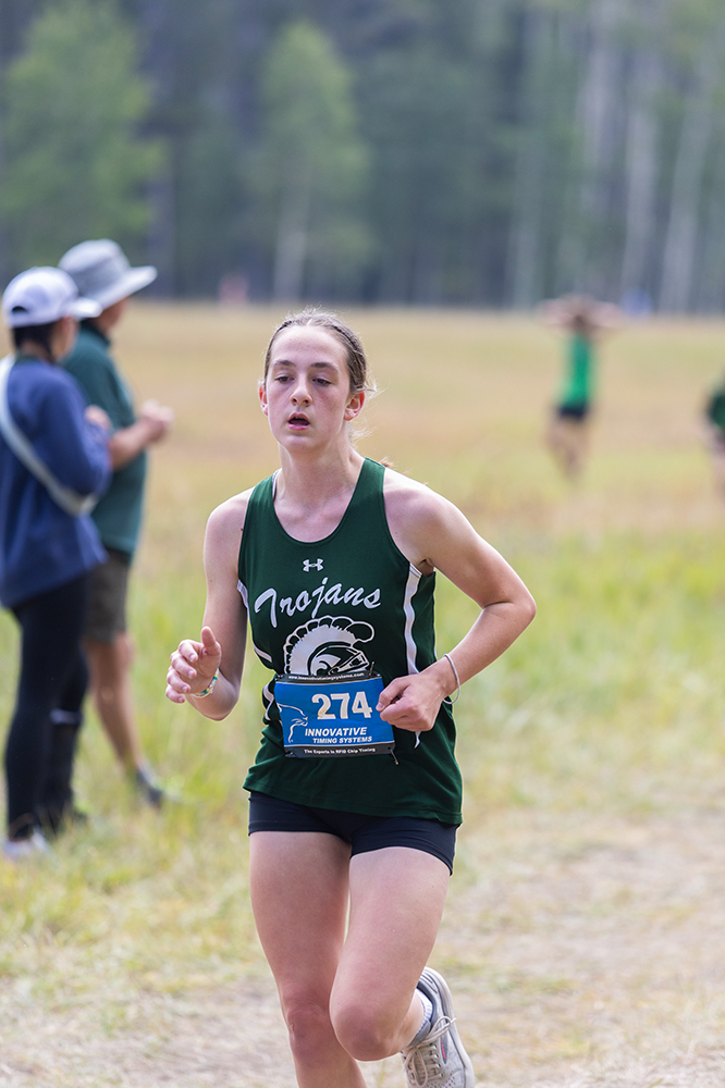 %_tempFileName1M6A8633%