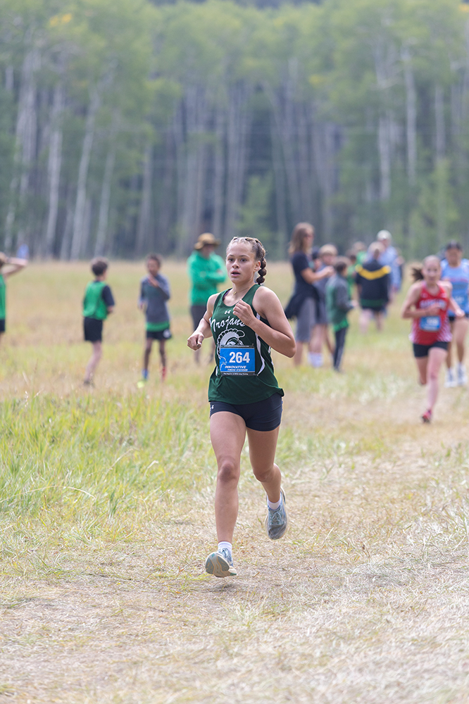 %_tempFileName1M6A8634%