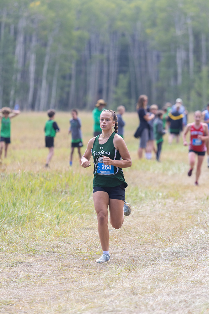 %_tempFileName1M6A8636%