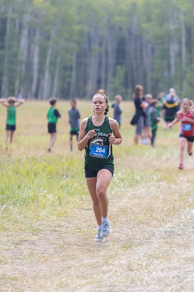 %_tempFileName1M6A8638%