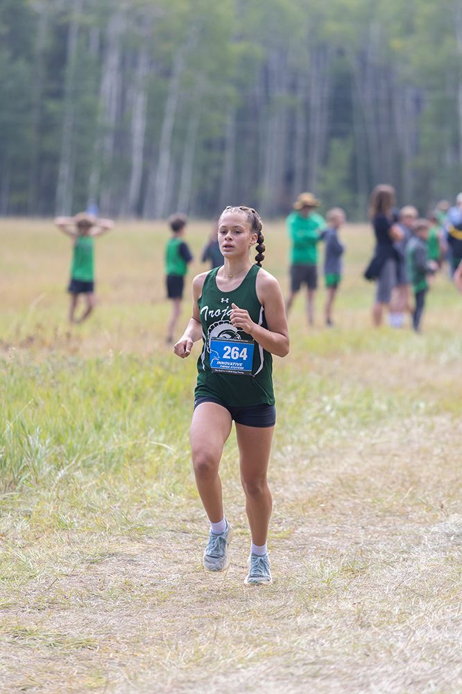 %_tempFileName1M6A8643%