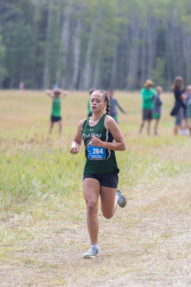 %_tempFileName1M6A8646%