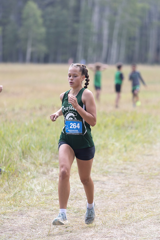 %_tempFileName1M6A8650%