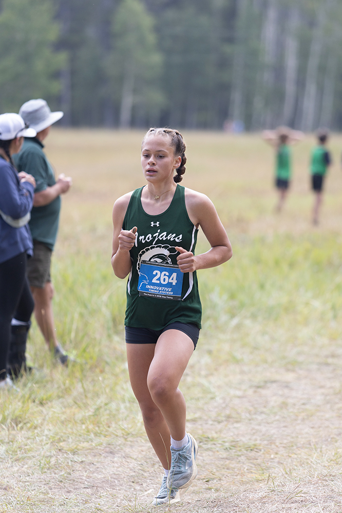 %_tempFileName1M6A8654%