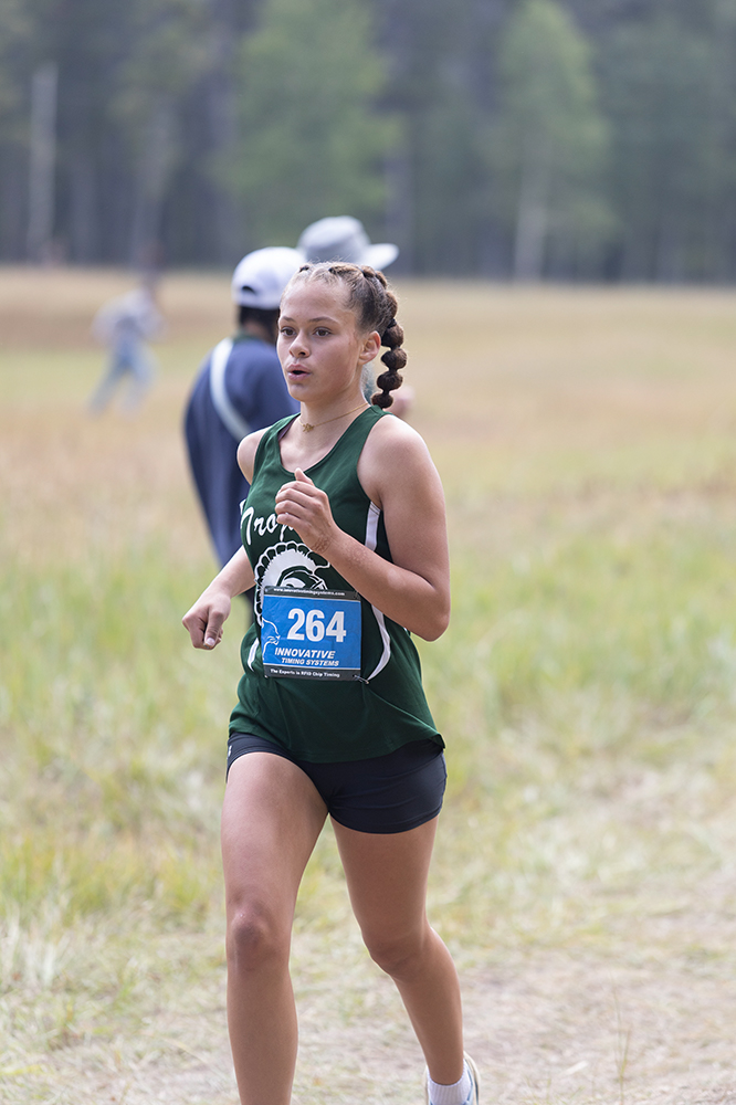 %_tempFileName1M6A8660%