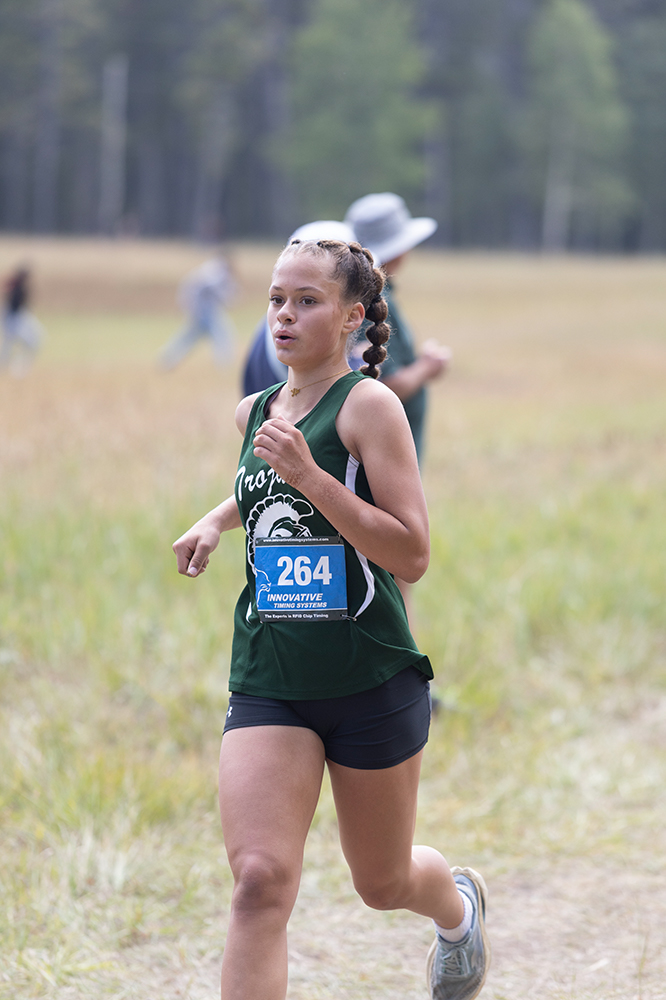 %_tempFileName1M6A8661%