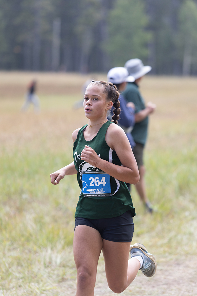 %_tempFileName1M6A8662%