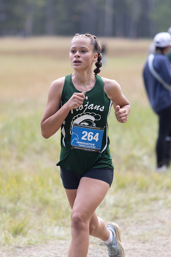 %_tempFileName1M6A8666%