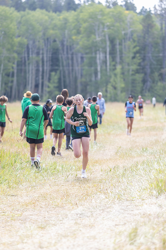 %_tempFileName1M6A8673%