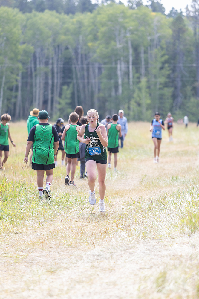 %_tempFileName1M6A8674%