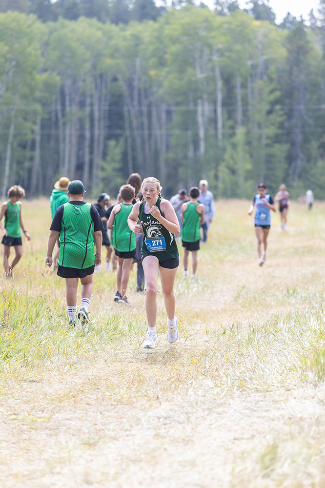 %_tempFileName1M6A8675%