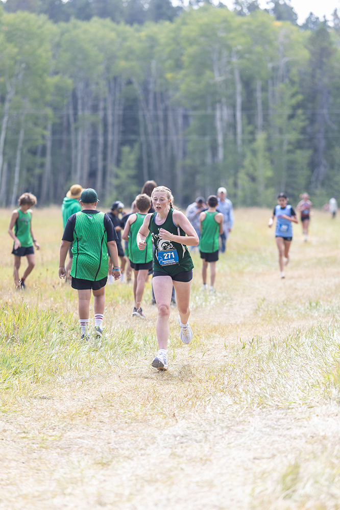 %_tempFileName1M6A8676%