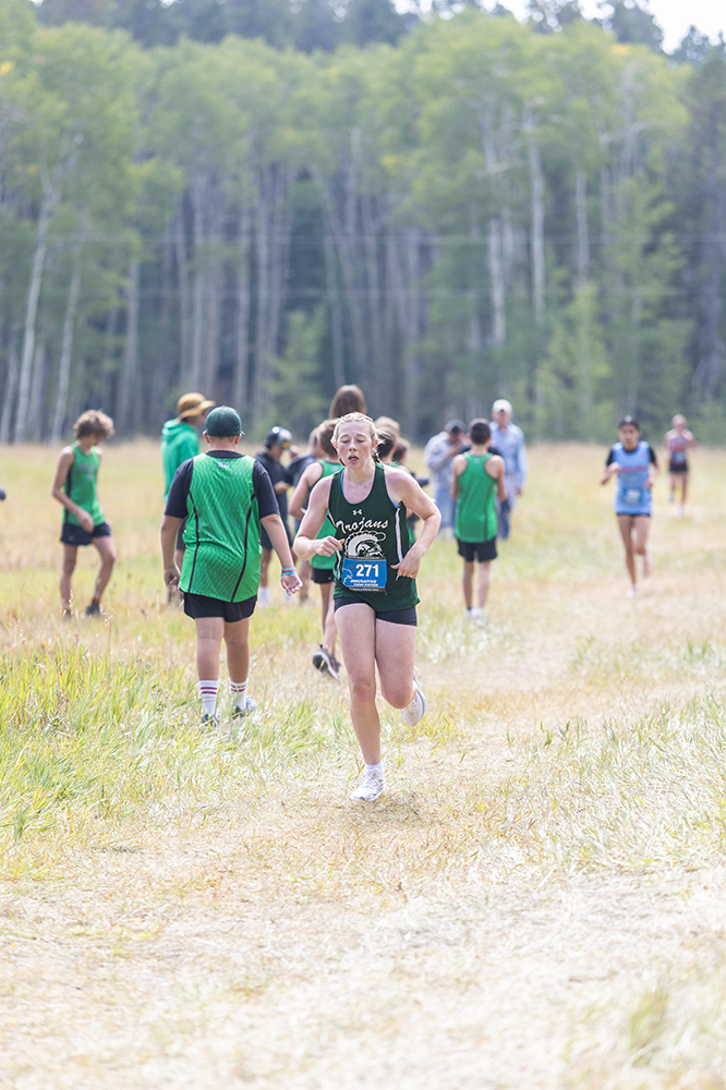 %_tempFileName1M6A8678%