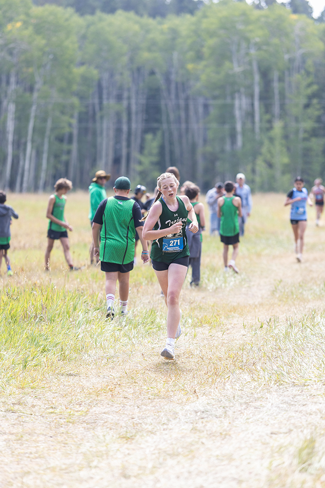 %_tempFileName1M6A8681%