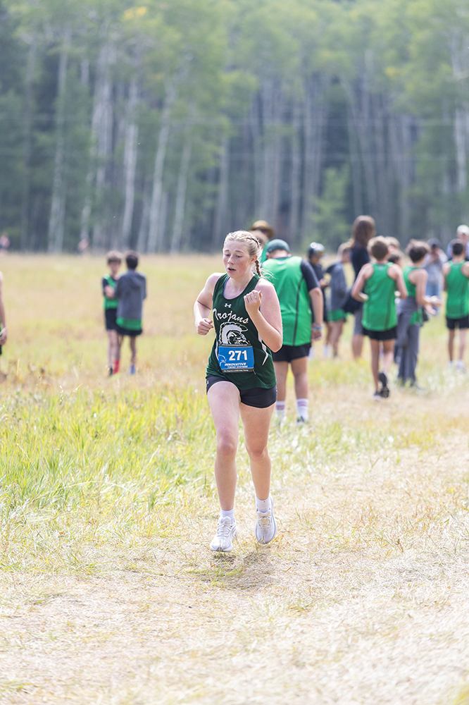 %_tempFileName1M6A8687%