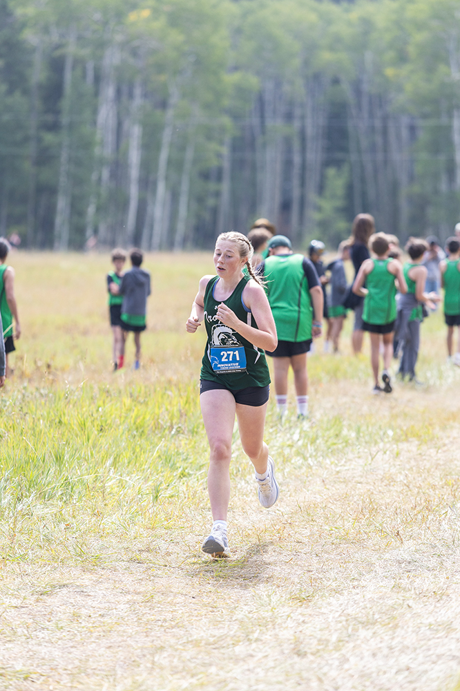 %_tempFileName1M6A8688%