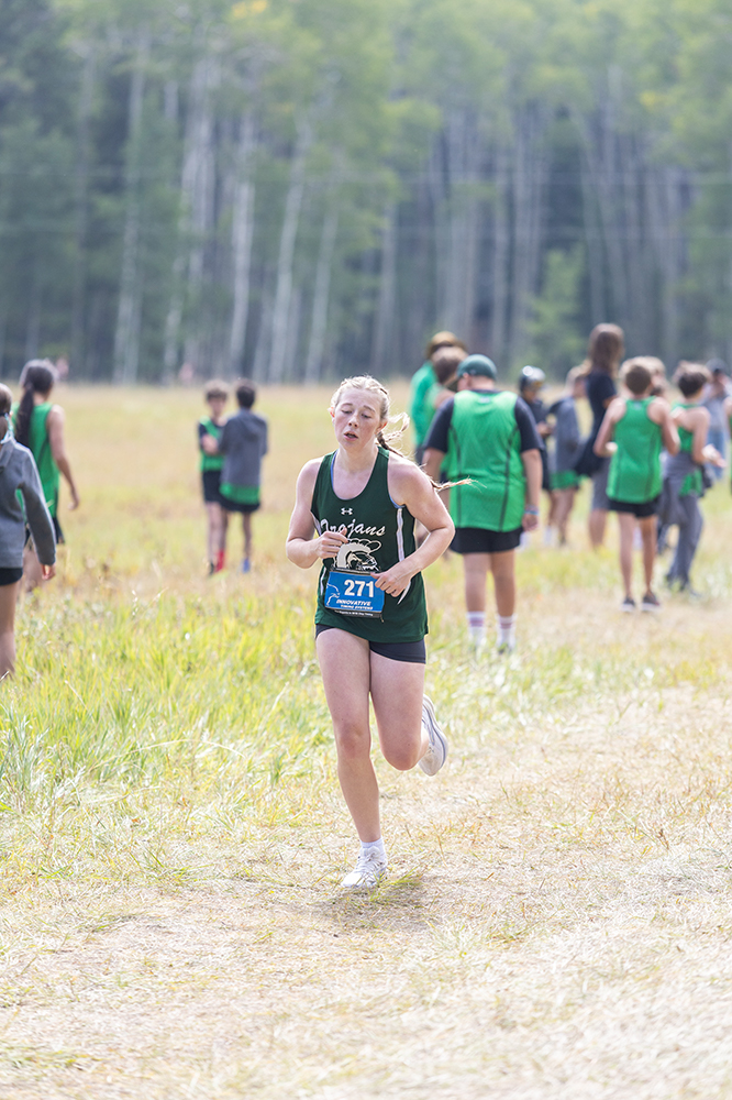 %_tempFileName1M6A8690%