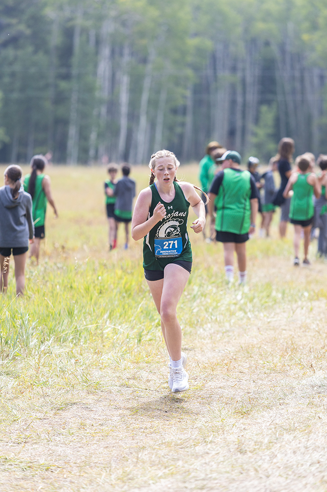 %_tempFileName1M6A8692%