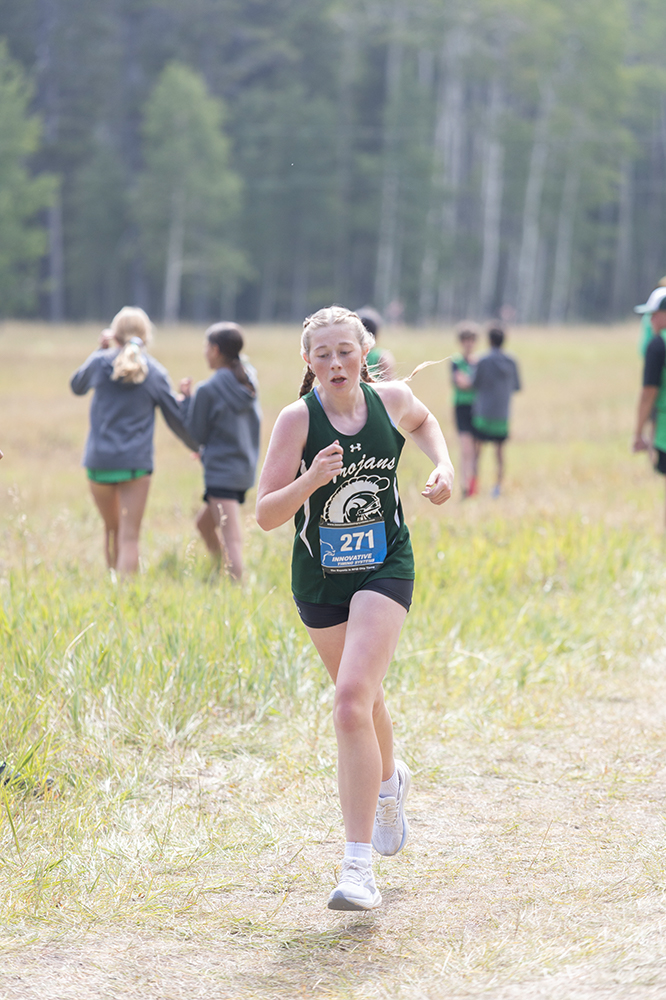 %_tempFileName1M6A8699%