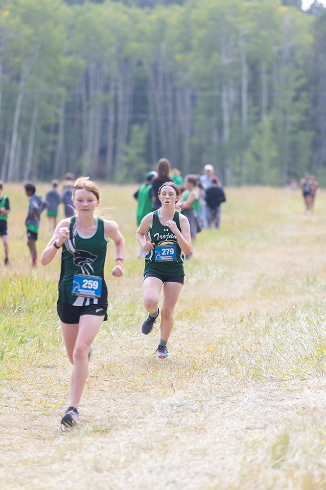 %_tempFileName1M6A8728%