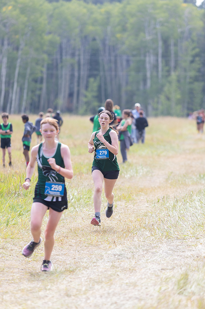 %_tempFileName1M6A8730%