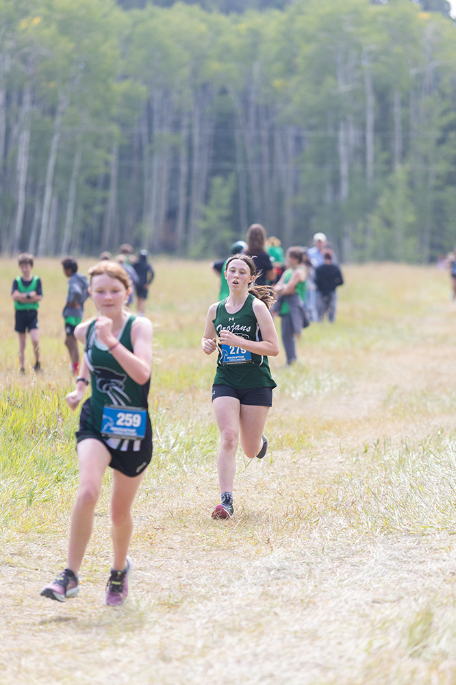 %_tempFileName1M6A8731%