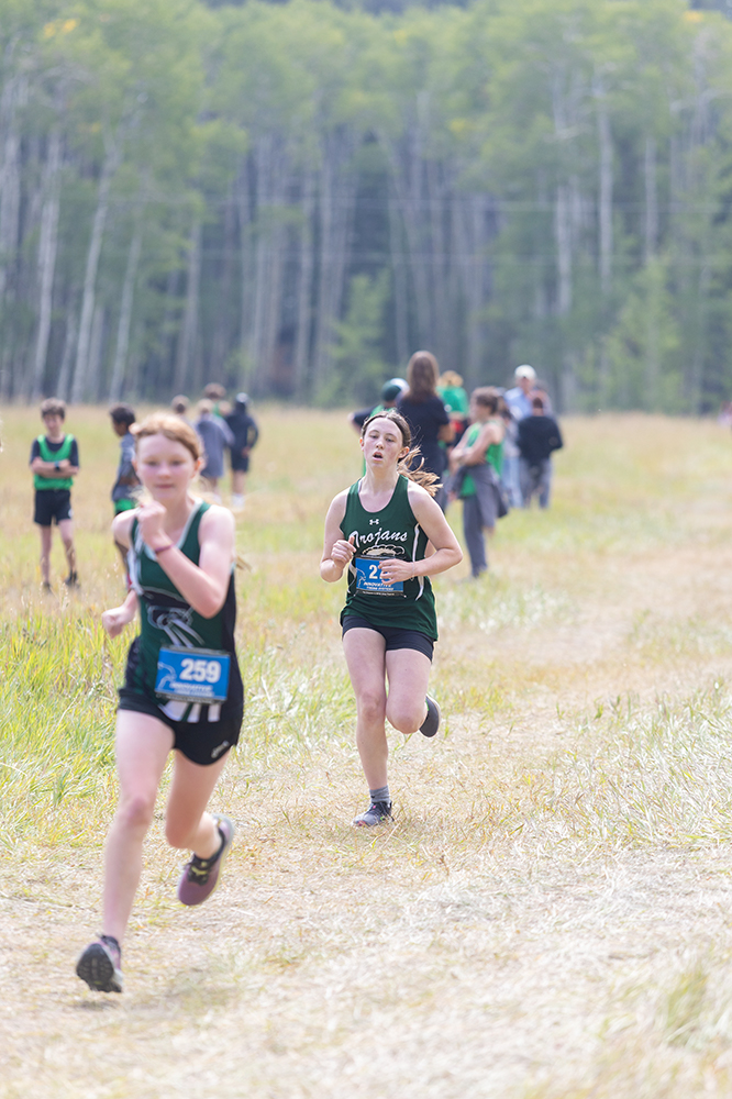 %_tempFileName1M6A8732%