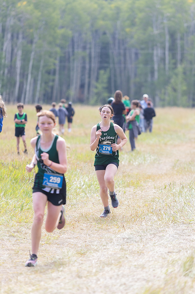 %_tempFileName1M6A8733%