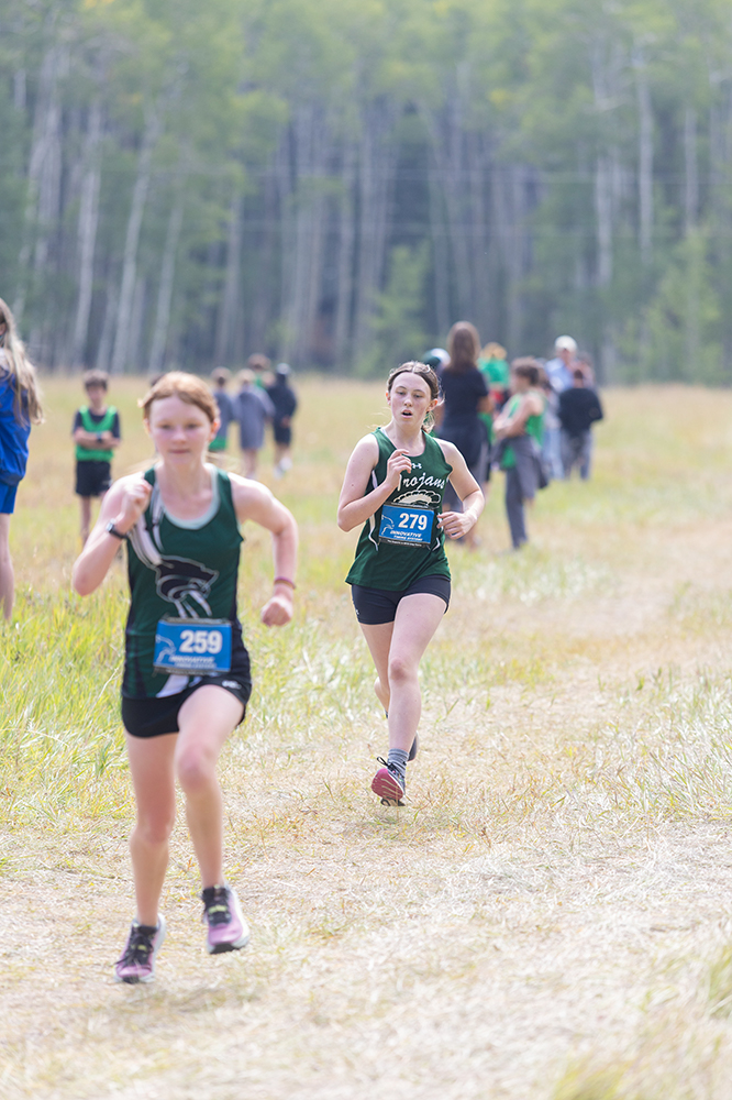 %_tempFileName1M6A8735%