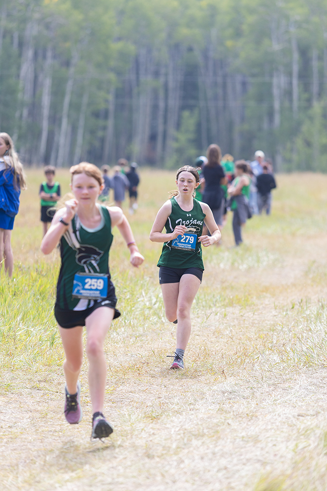 %_tempFileName1M6A8736%