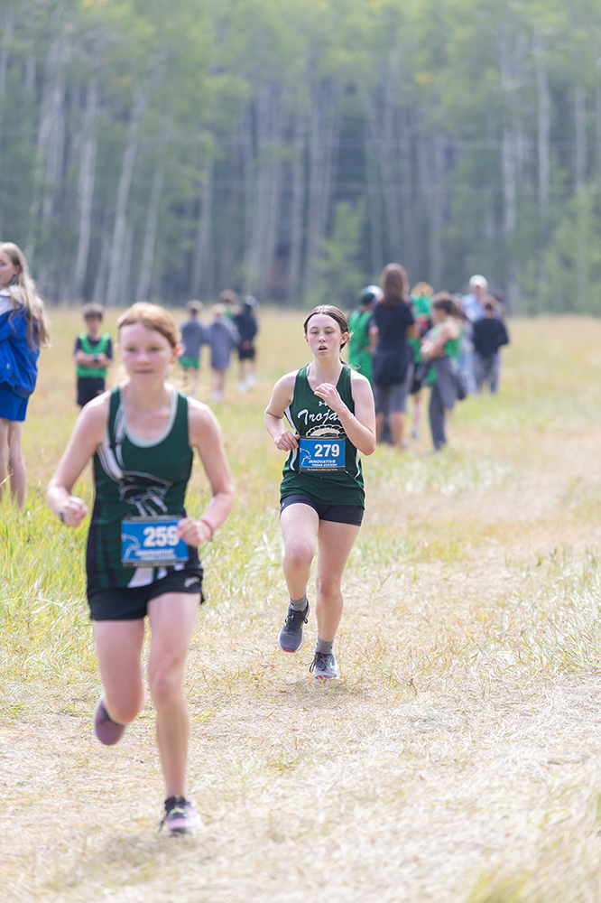 %_tempFileName1M6A8738%