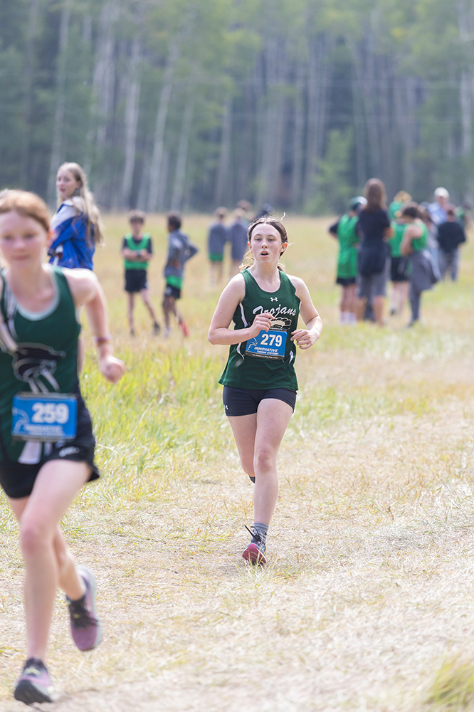 %_tempFileName1M6A8739%