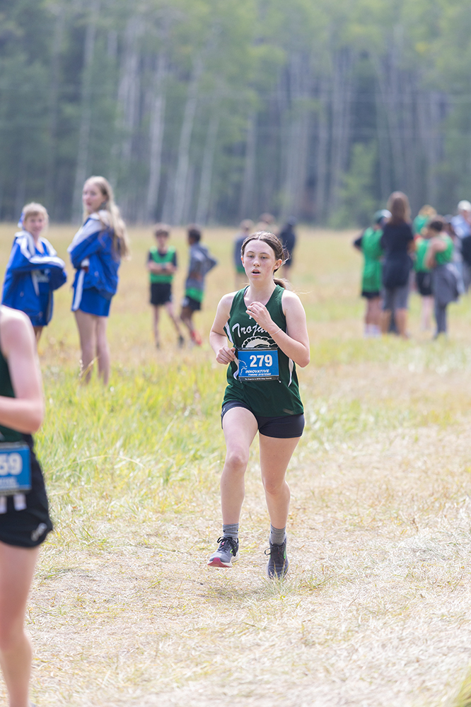 %_tempFileName1M6A8742%