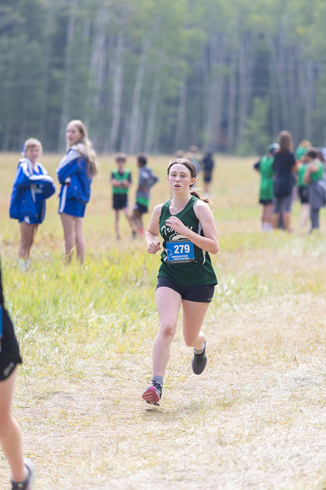 %_tempFileName1M6A8743%