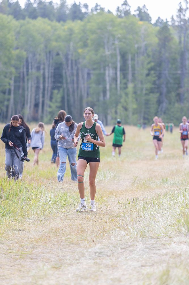 %_tempFileName1M6A8771%