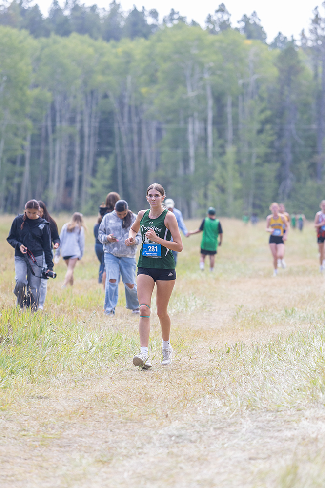 %_tempFileName1M6A8772%